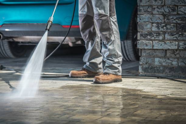 Pre-Holiday Cleaning in South Miami Heights, FL